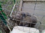 07022010047.jpg