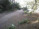 Foto0393.jpg