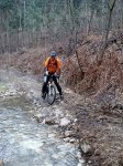 DSC05747.JPG