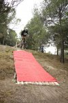 Octavio Alfombra roja5.jpg