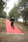 Octavio Alfombra roja6.jpg