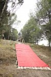 Abel alfombra roja1.jpg
