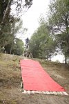 Abel alfombra roja2.jpg