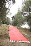 Abel alfombra roja3.jpg