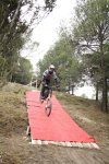 Abel alfombra roja4.jpg