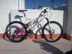 Imagen0026.jpg