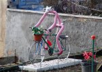 bicirosa.jpg