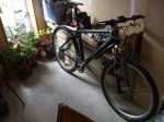 DSCF4377.jpg