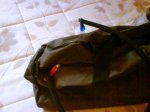 DSC01537.jpg