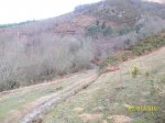 100_4358.jpg