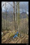 P1000544%20%28Medium%29.jpg