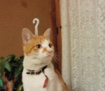 moment_pictures_11.jpg