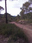 Imagen022.jpg