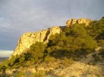 P1010007.jpg
