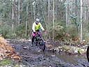 070220101781.jpg