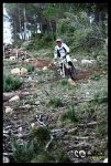 4170858891_7f0719e2dc_m[1].jpg