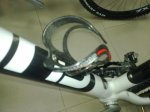 08022010082.jpg