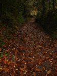 DSC02877.jpg