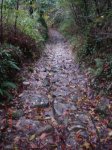 DSC02881.jpg