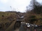 DSC05205.jpg