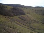 DSC05206.jpg