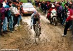 balle1-corner.jpg