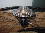DSC00943.jpg