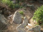 DSCF7543.JPG