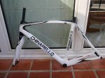 chinarello2010.JPG