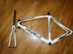chinarello_b.JPG