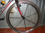 DSC01576.JPG