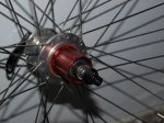 zipp4042.jpg