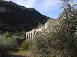 CORIPE 2009.jpg