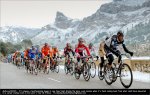 malle10st04-jens.jpg