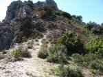 IMG_1601.jpg