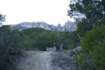 DSC01018.jpg