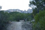 DSC01017.jpg