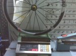 IMG02771.jpg