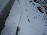 DSC05320.jpg
