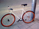 11022010_002.jpg