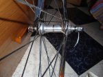 DSC01364.jpg