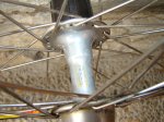 DSC00539.JPG