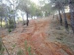 DSC00966.jpg