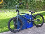DSCN5774.jpg