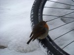Regalo en la nieve (18)_1040x780.jpg