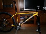 rzc gold casi terminada 1.jpg