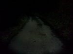 10022010223.jpg