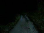 10022010224.jpg