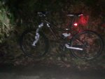 10022010226.jpg