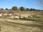DSC09209.JPG
